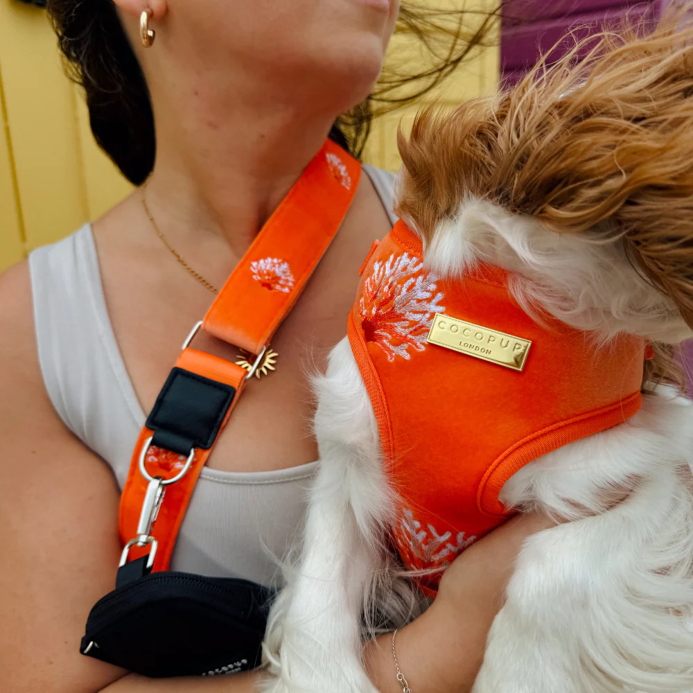 Luxe Velvet Adjustable Neck HARNESS- Coral Core - Image 14