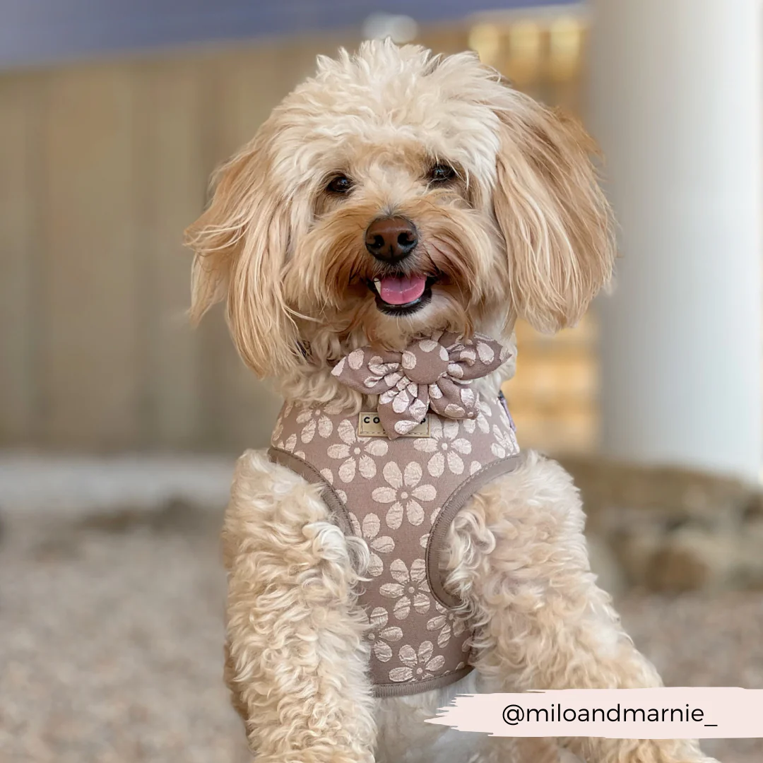 LUXE Mocha Flower Collar Flower - Image 3