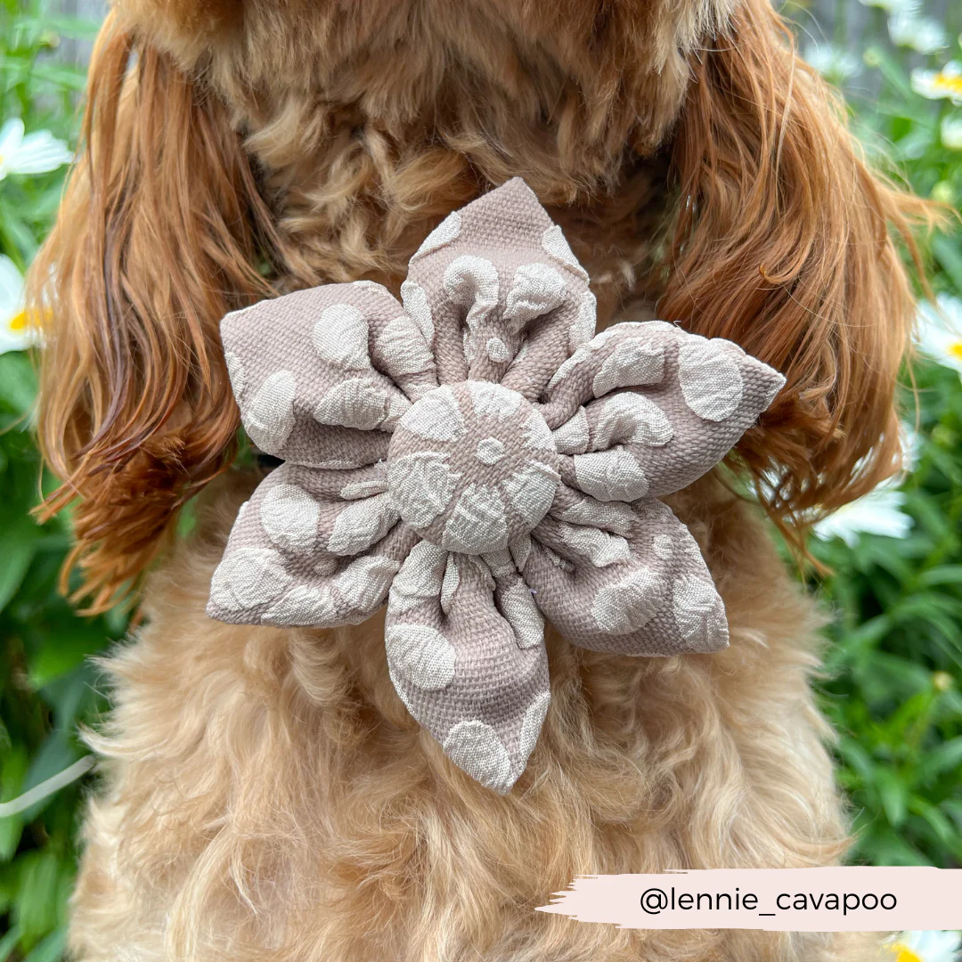 LUXE Mocha Flower Collar Flower - Image 4