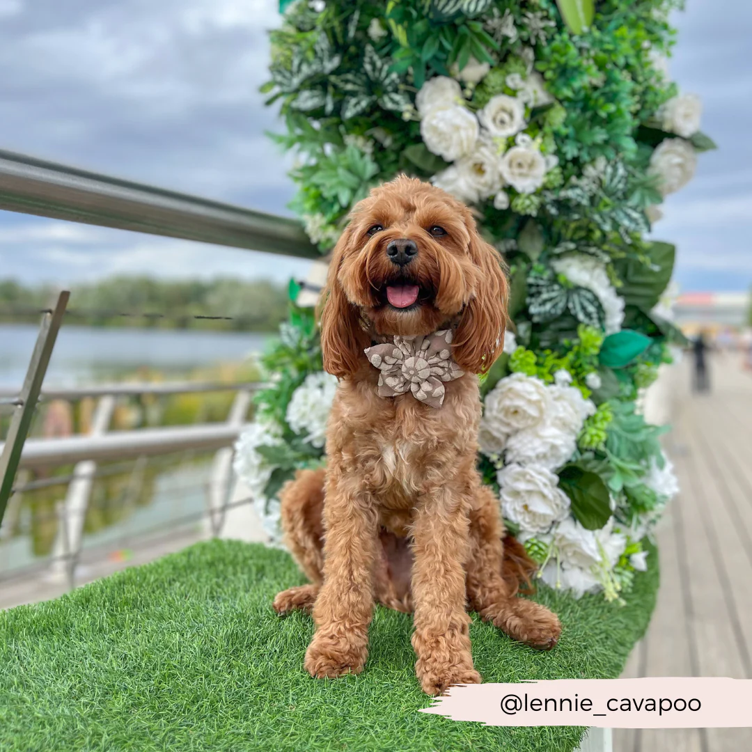 LUXE Mocha Flower Collar Flower - Image 6