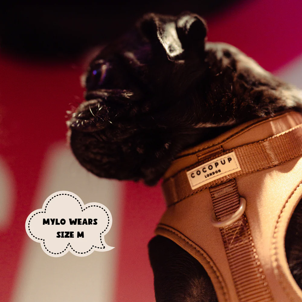 NAKD Adjustable Neck Harness - Brownie - Image 9