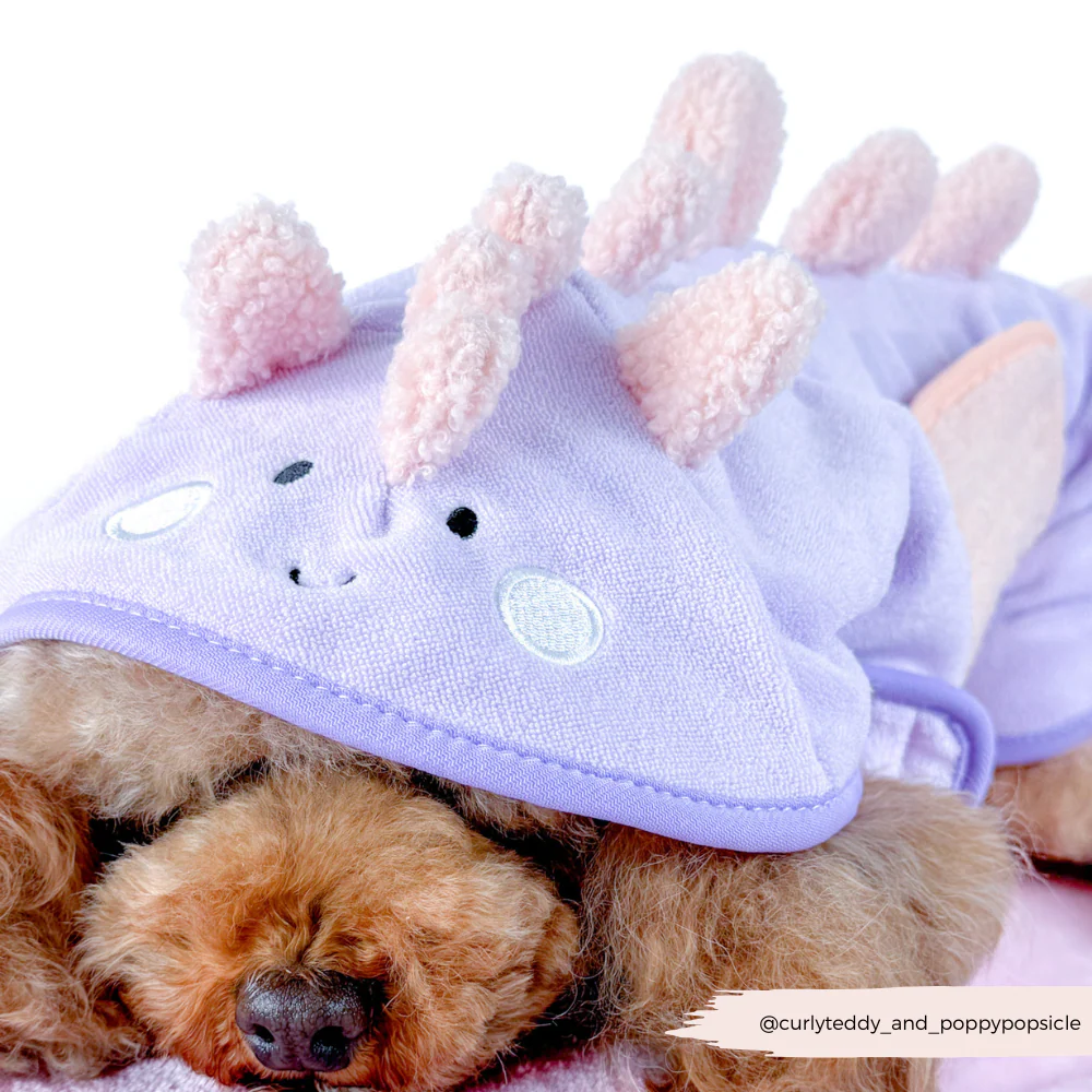 Nessie the Dino Drying Robe - Image 5