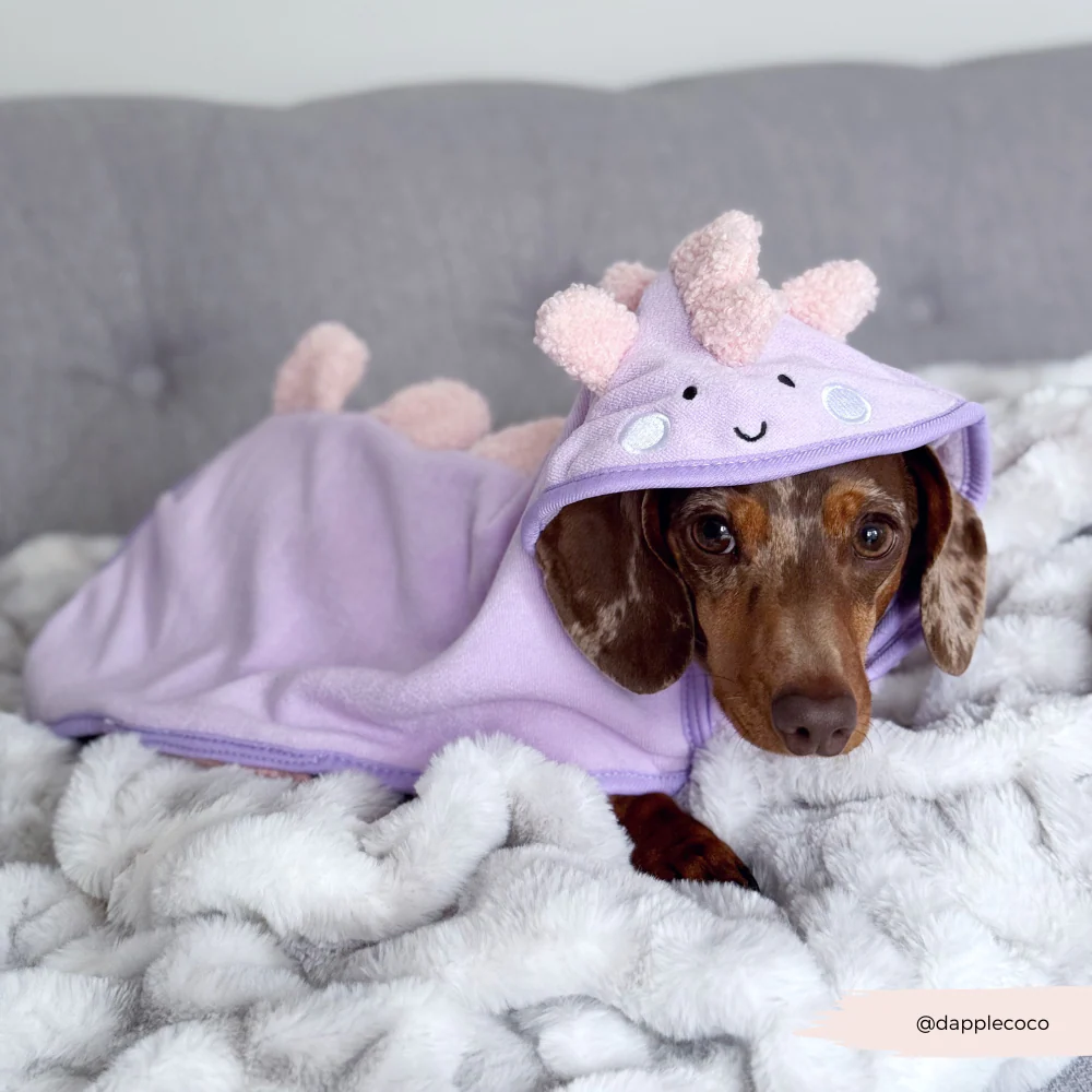 Nessie the Dino Drying Robe - Image 9