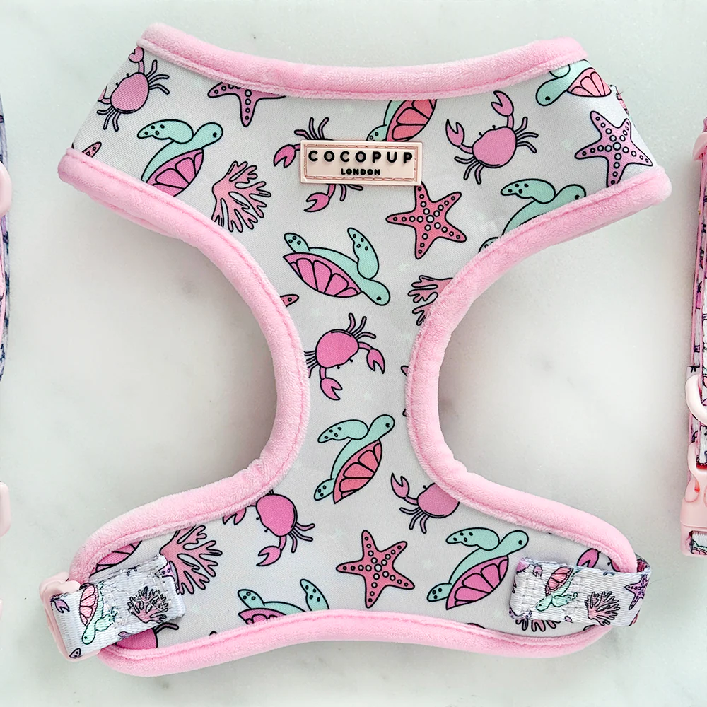 SALE DOG HARNESS, COLLARS & LEADS