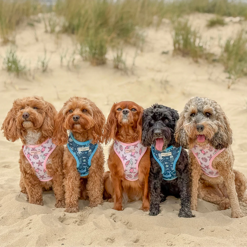 Pawcific Pink Reef Adjustable Neck HARNESS - Image 13