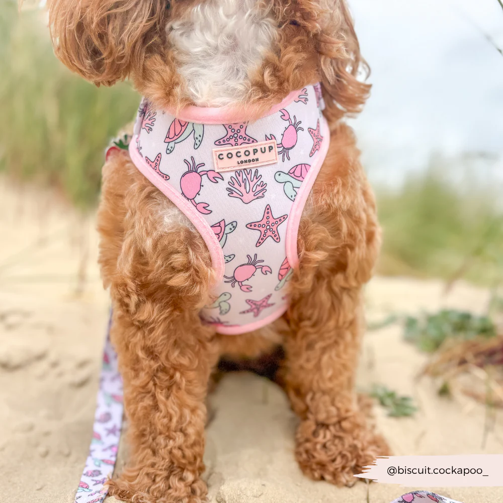 Pawcific Pink Reef Adjustable Neck HARNESS - Image 15