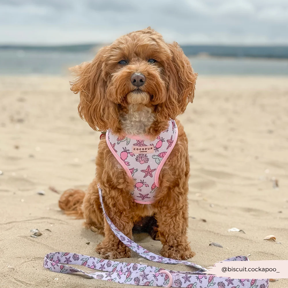 Pawcific Pink Reef Adjustable Neck HARNESS - Image 16