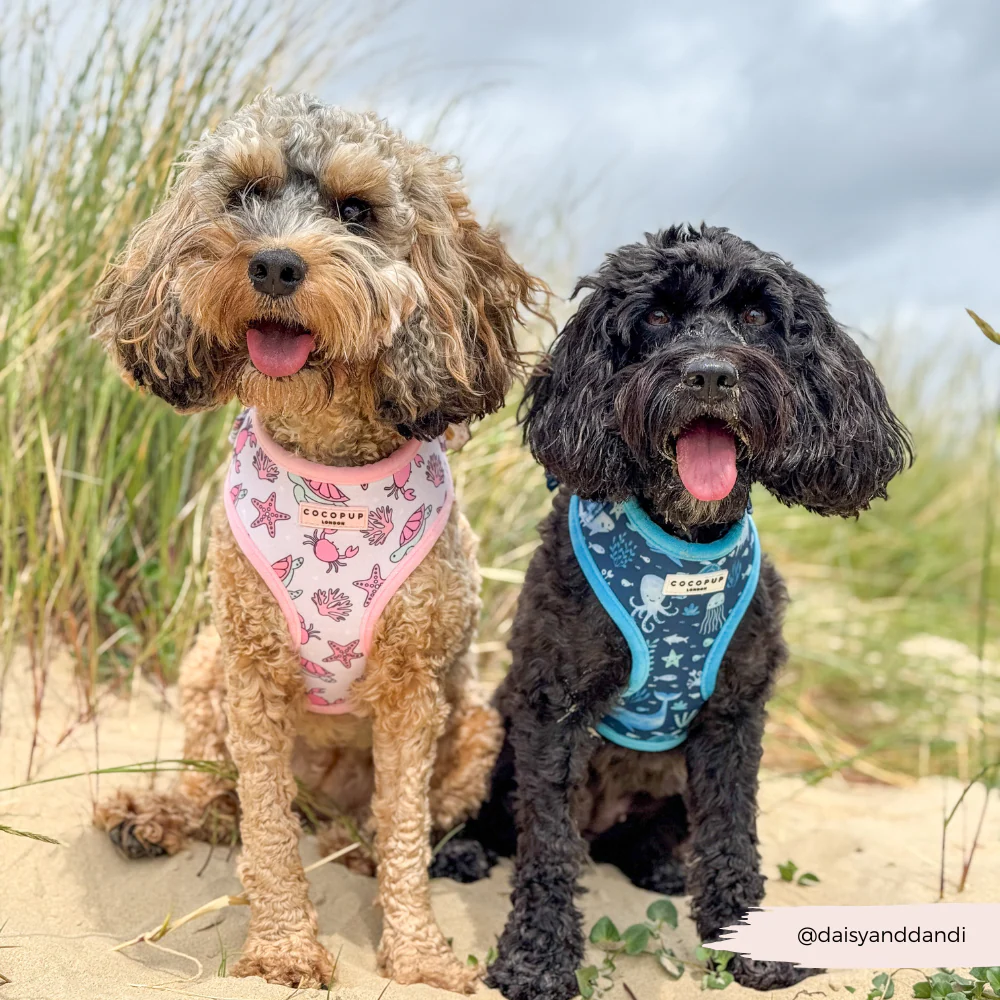 Pawcific Pink Reef Adjustable Neck HARNESS - Image 18