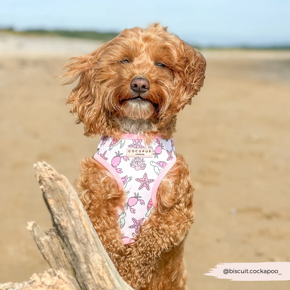 Pawcific Pink Reef Adjustable Neck HARNESS - Image 19