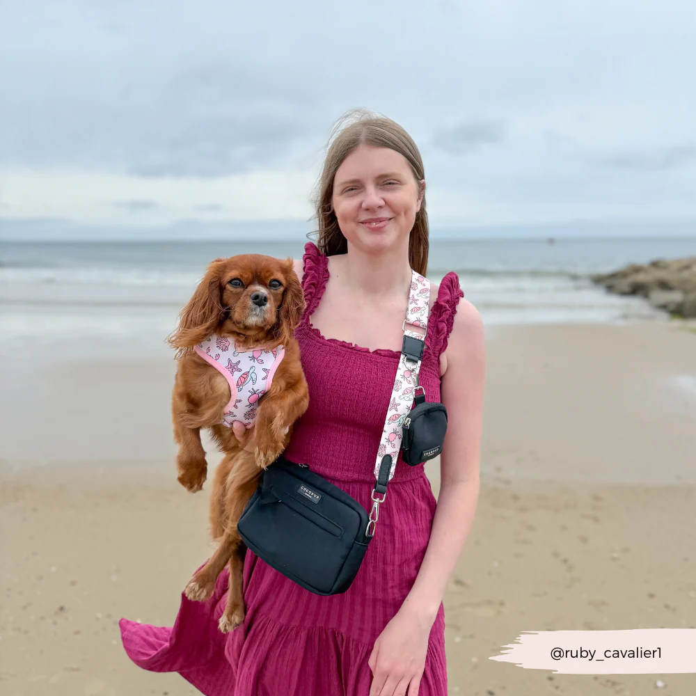 Pawcific Pink Reef Adjustable Neck HARNESS - Image 20