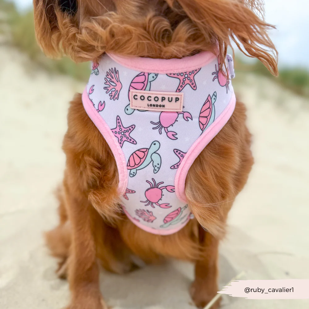 Pawcific Pink Reef Adjustable Neck HARNESS - Image 8