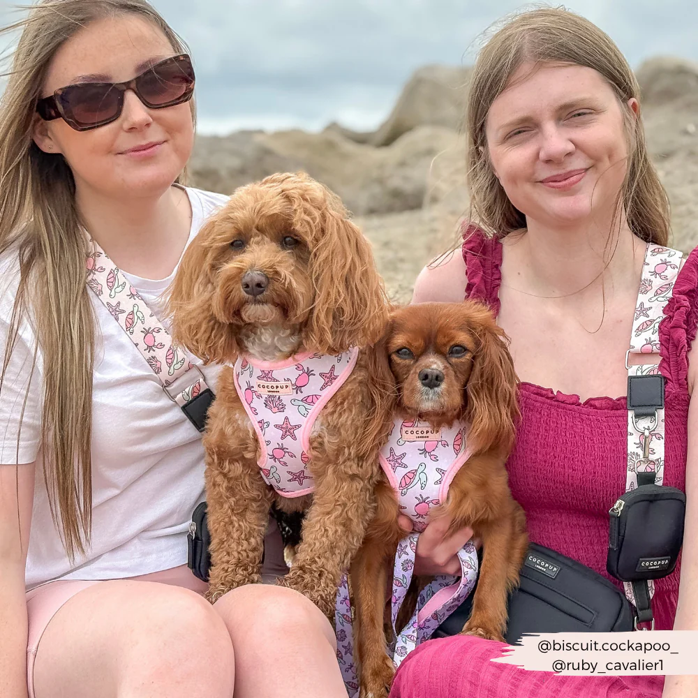 Pawcific Pink Reef Adjustable Neck HARNESS - Image 9