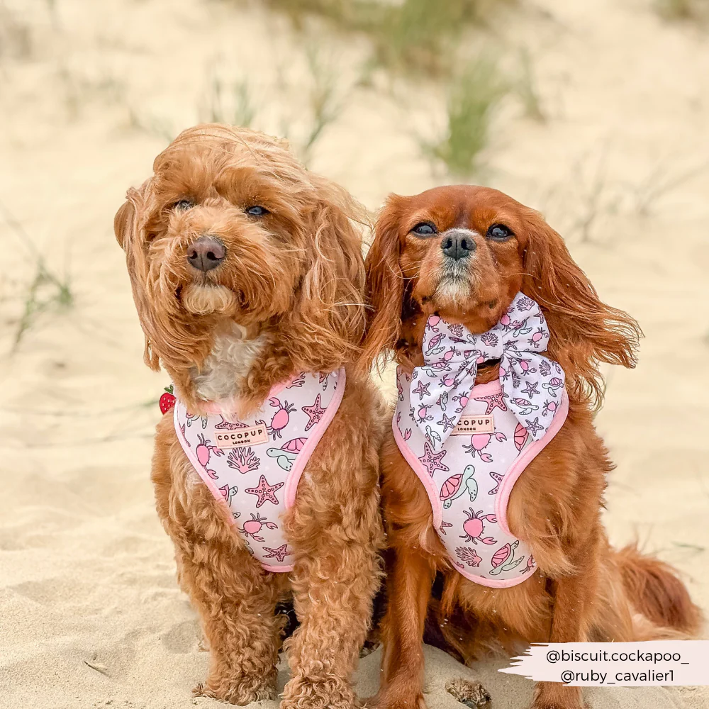 Pawcific Pink Reef Adjustable Neck HARNESS - Image 12