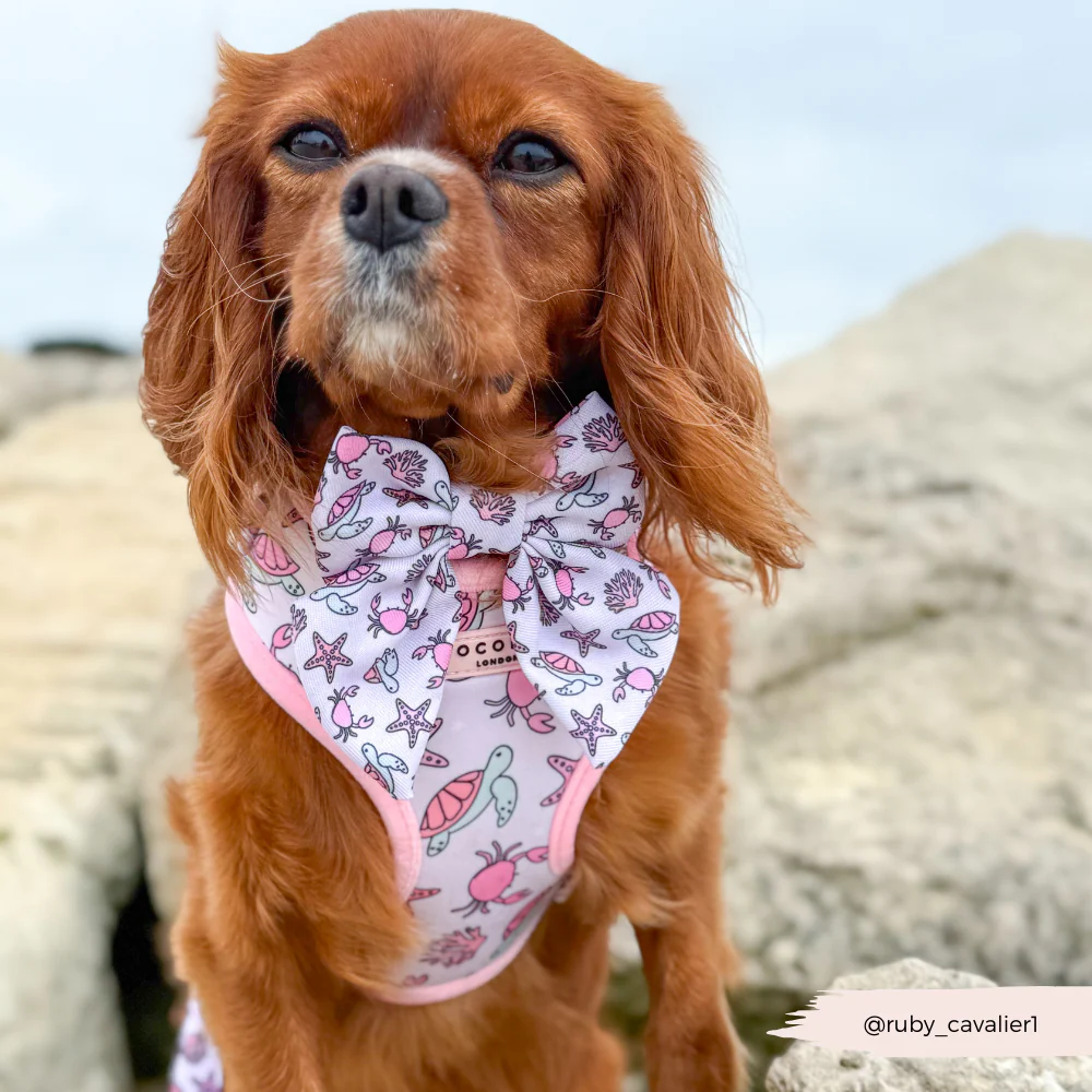 Pawcific Pink Reef Adjustable Neck HARNESS - Image 17