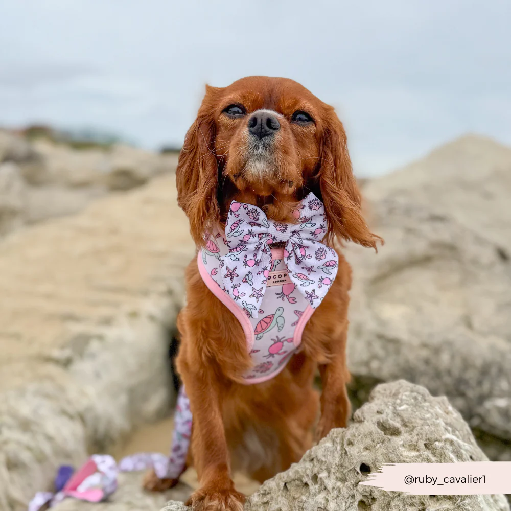Pawcific Pink Reef Adjustable Neck HARNESS - Image 10