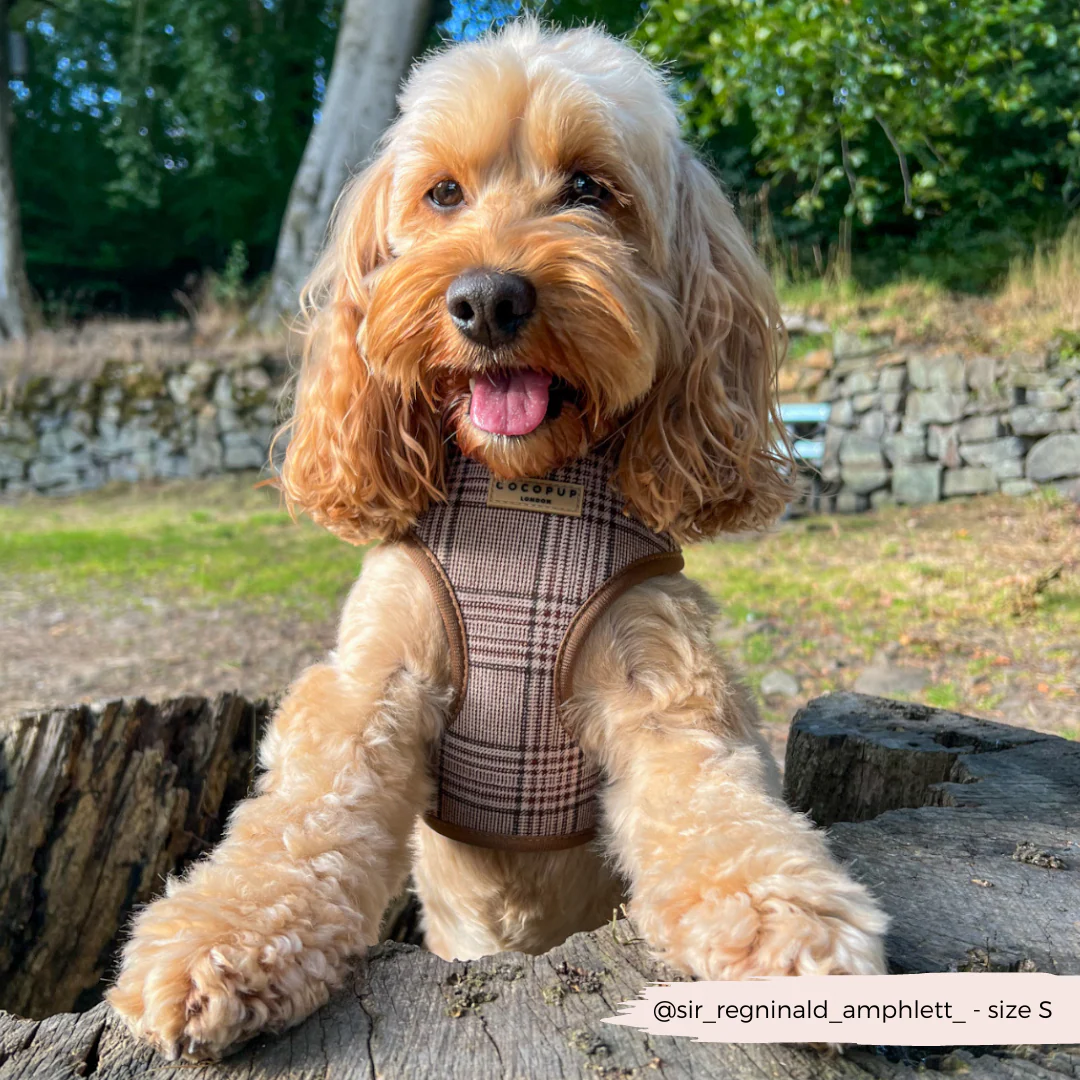 Pup Plaid Adjustable Neck HARNESS - Image 15