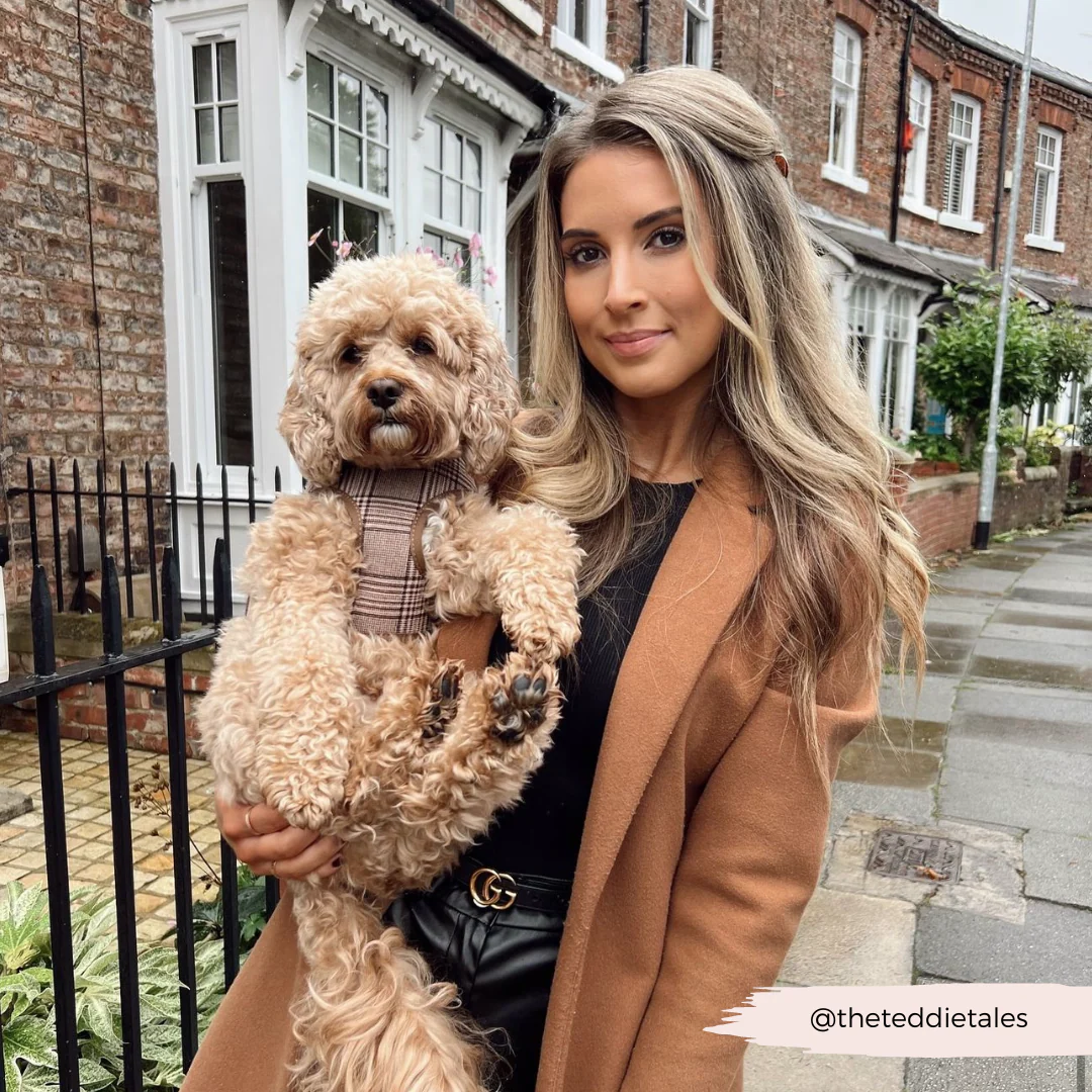 Pup Plaid Adjustable Neck HARNESS - Image 27