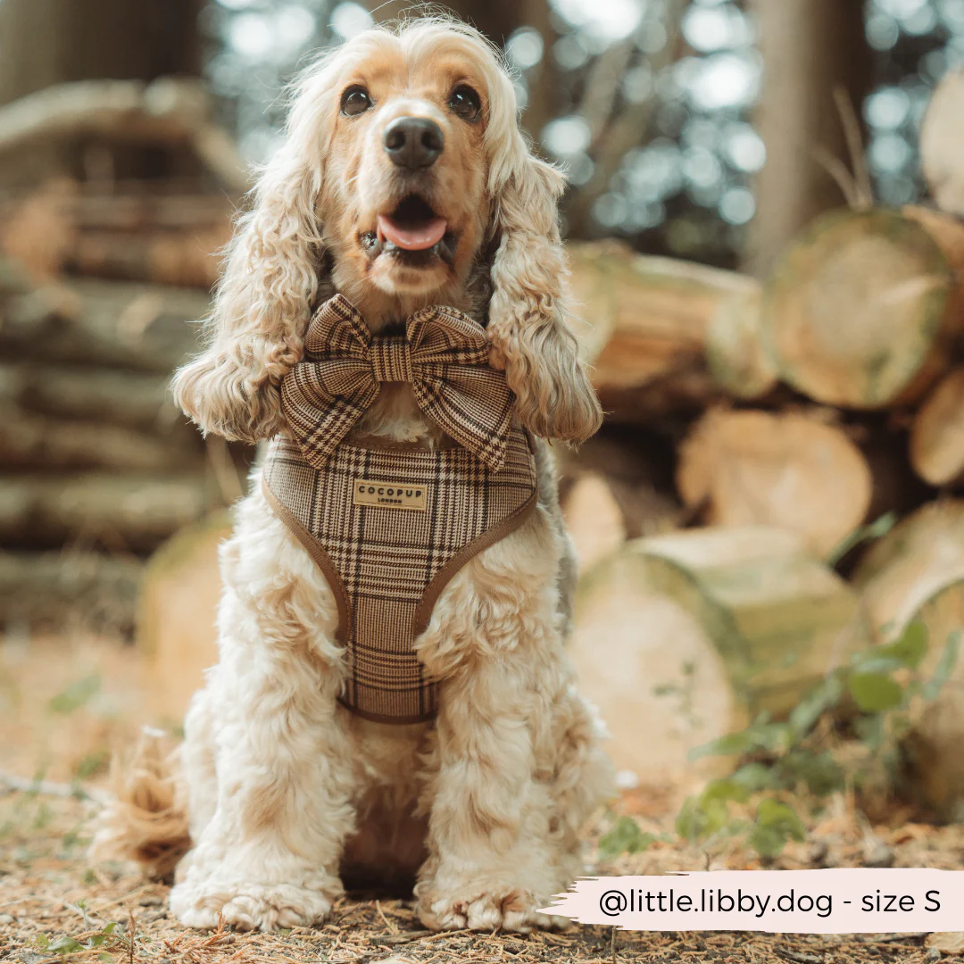 Pup Plaid Adjustable Neck HARNESS - Image 5