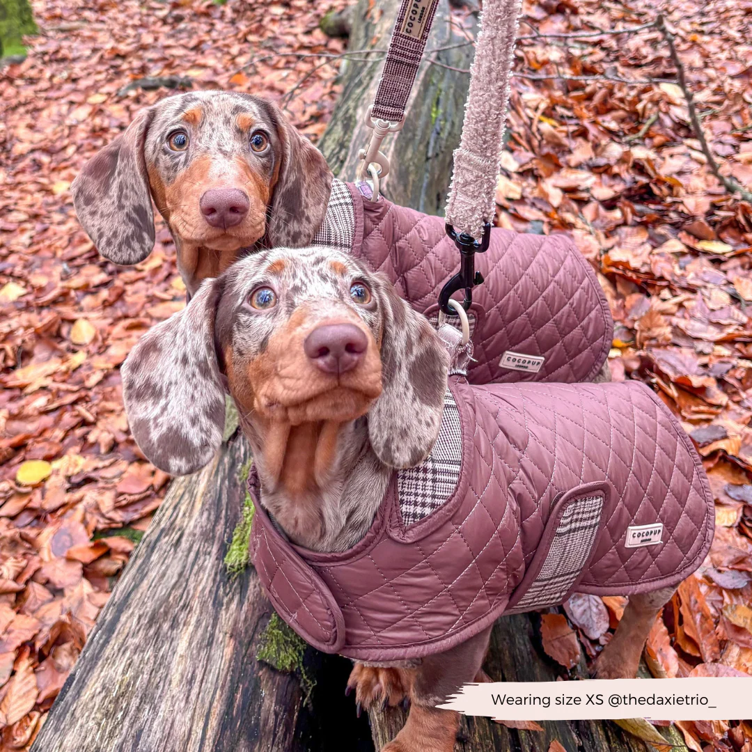 Quilted Dog Coat - Pup Plaid - Image 11