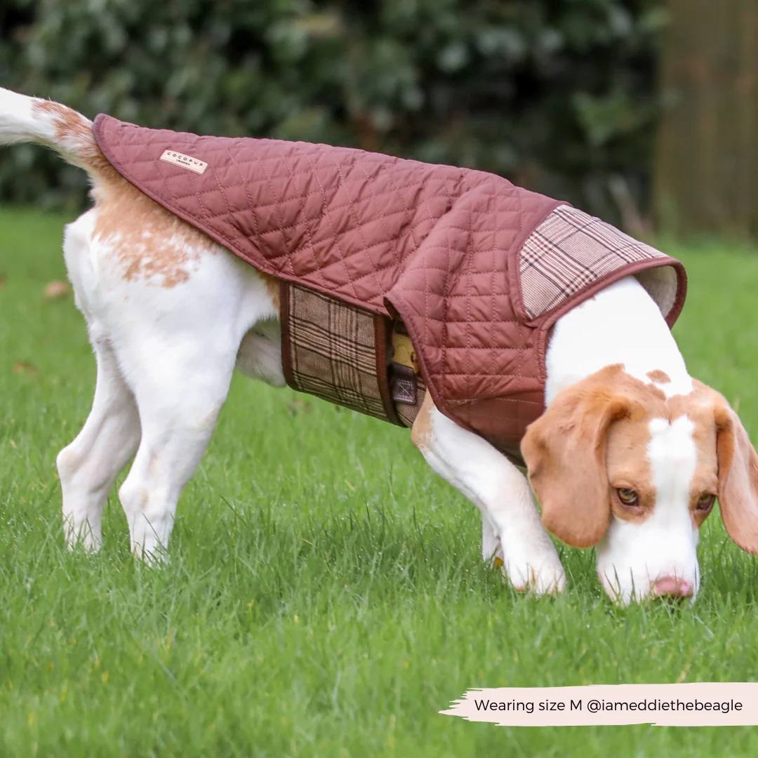 Quilted Dog Coat - Pup Plaid - Image 14