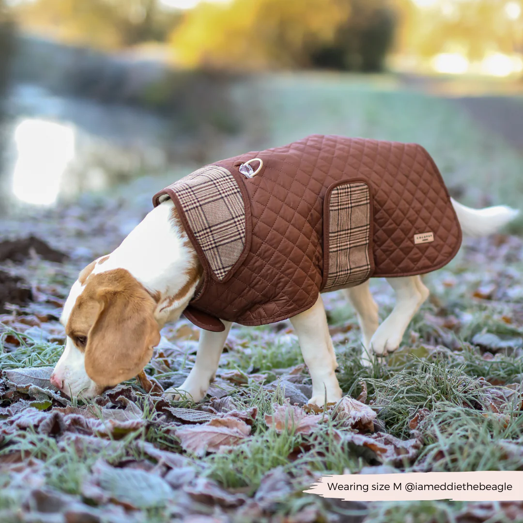 Quilted Dog Coat - Pup Plaid - Image 15