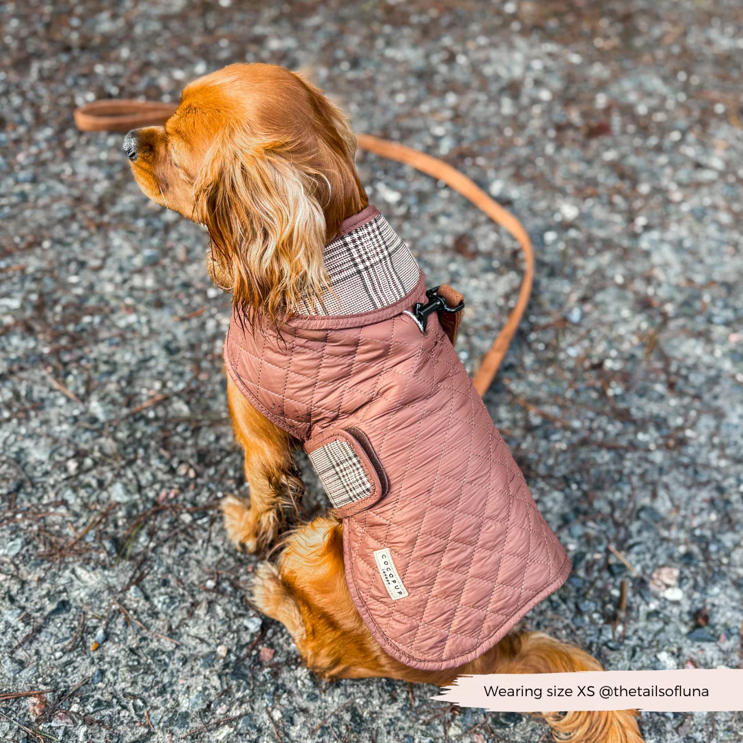 Quilted Dog Coat - Pup Plaid - Image 23
