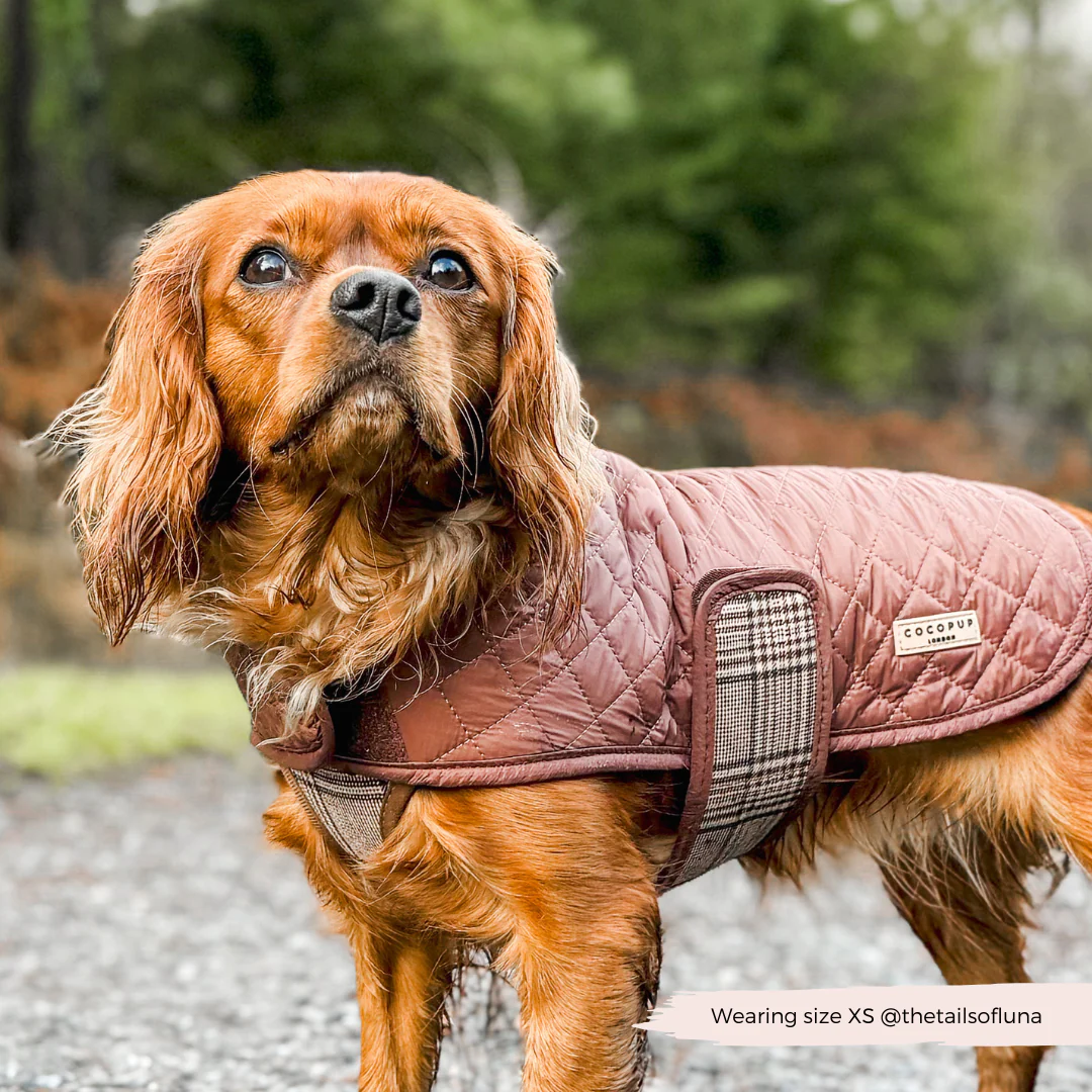 Quilted Dog Coat - Pup Plaid - Image 24