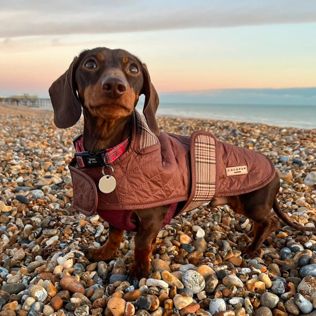 Quilted Dog Coat - Pup Plaid - Image 25