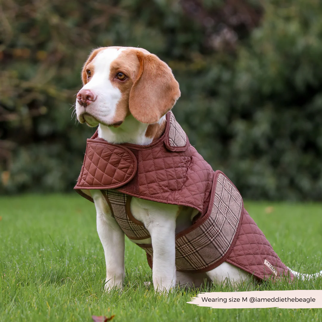 Quilted Dog Coat - Pup Plaid - Image 6