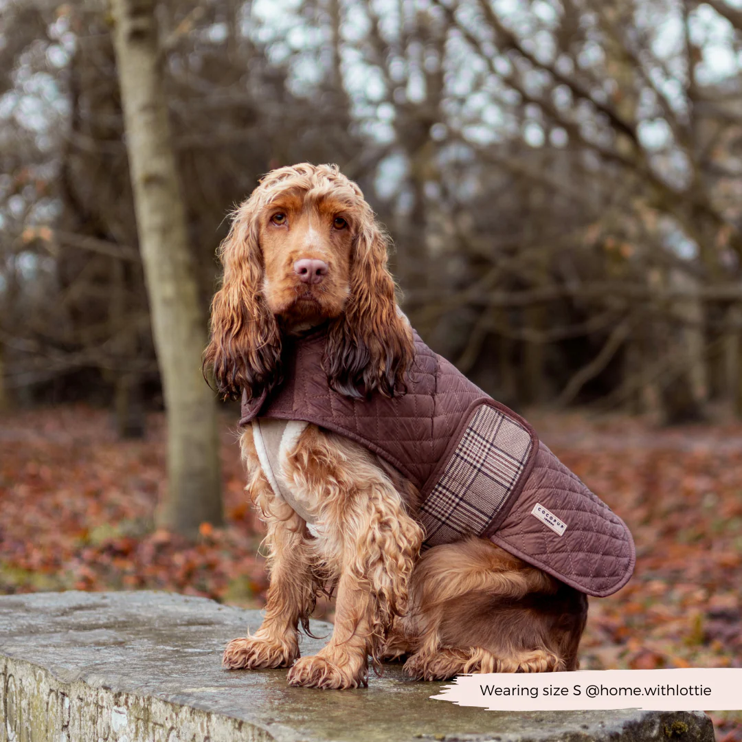 Quilted Dog Coat - Pup Plaid - Image 9