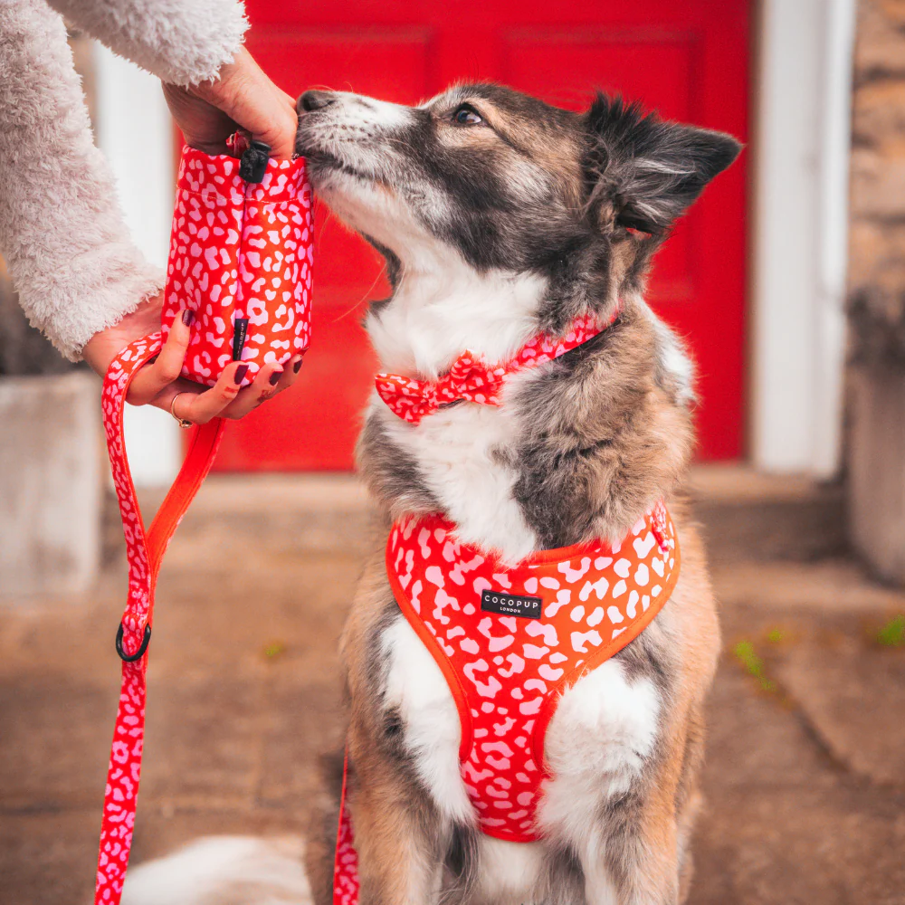Red & Pink Leopard Bow Tie - Image 5