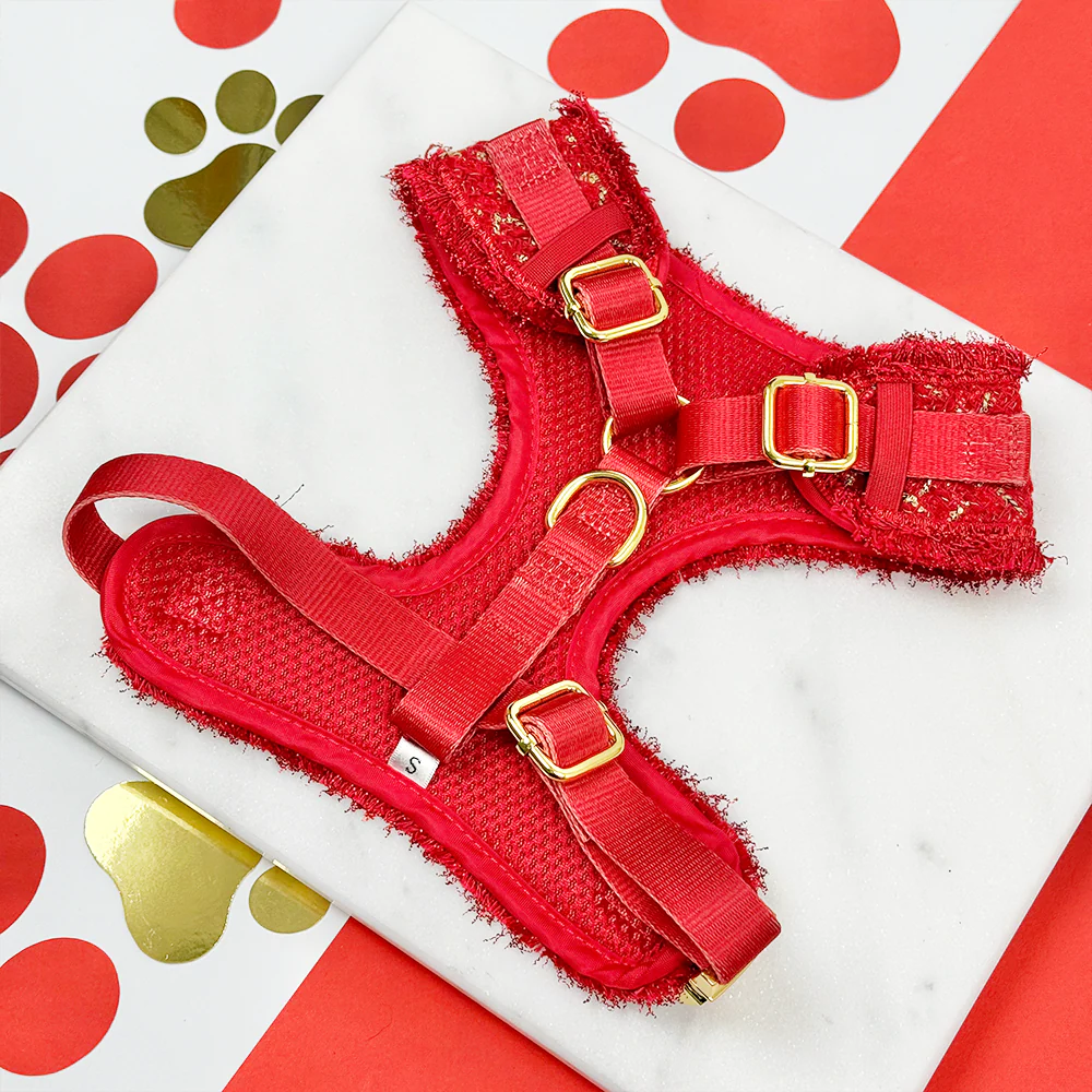 Red Textured Tweed Adjustable Neck HARNESS - Image 3