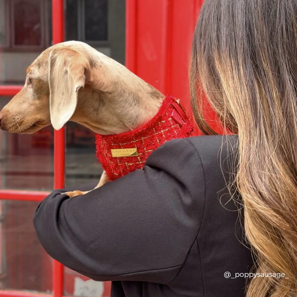 Red Textured Tweed Adjustable Neck HARNESS - Image 5