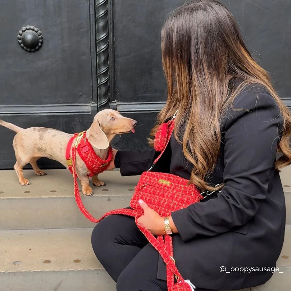 Red Textured Tweed Adjustable Neck HARNESS - Image 6