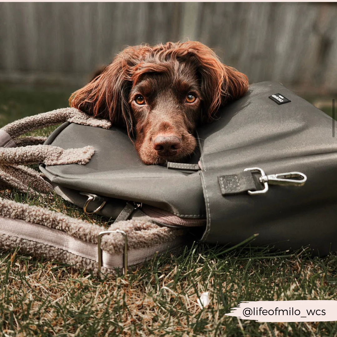 Rucksack - Mocha - Image 8