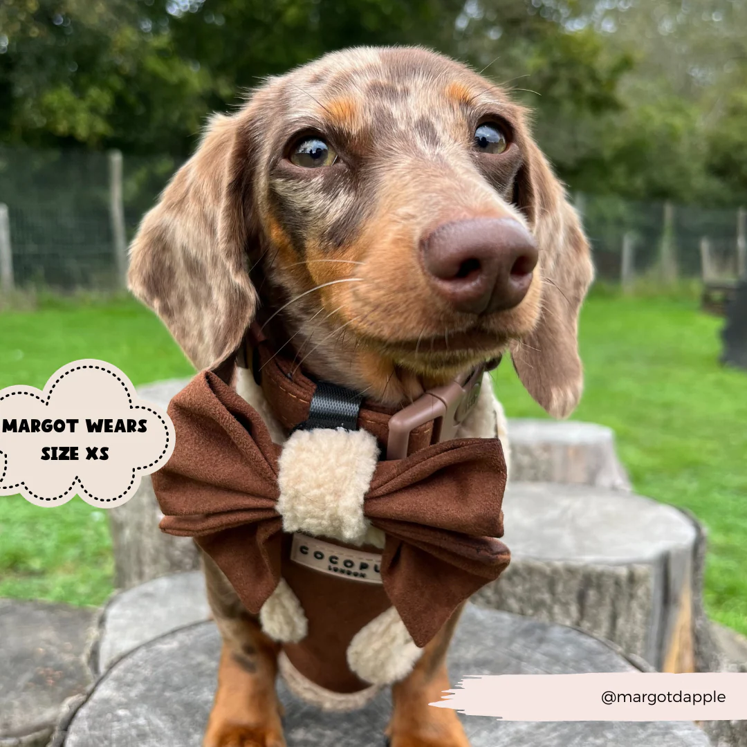 Brown Aviator Sailor Bow Tie - Image 4