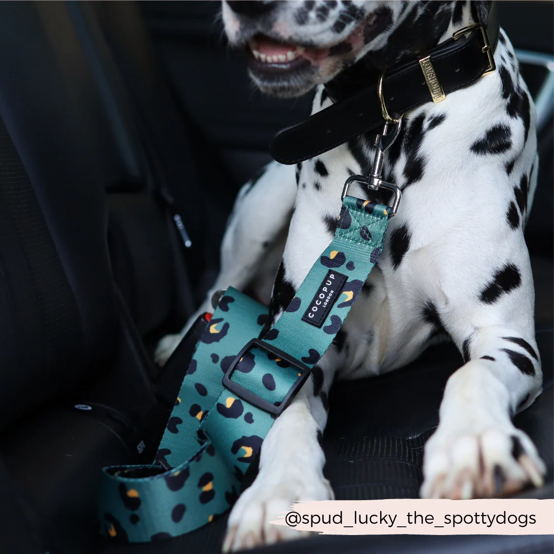 Seat Belt Restraint - Khaki Leopard - Image 4