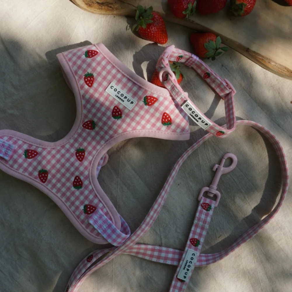Strawberry Picnic Pup Lead - Image 4