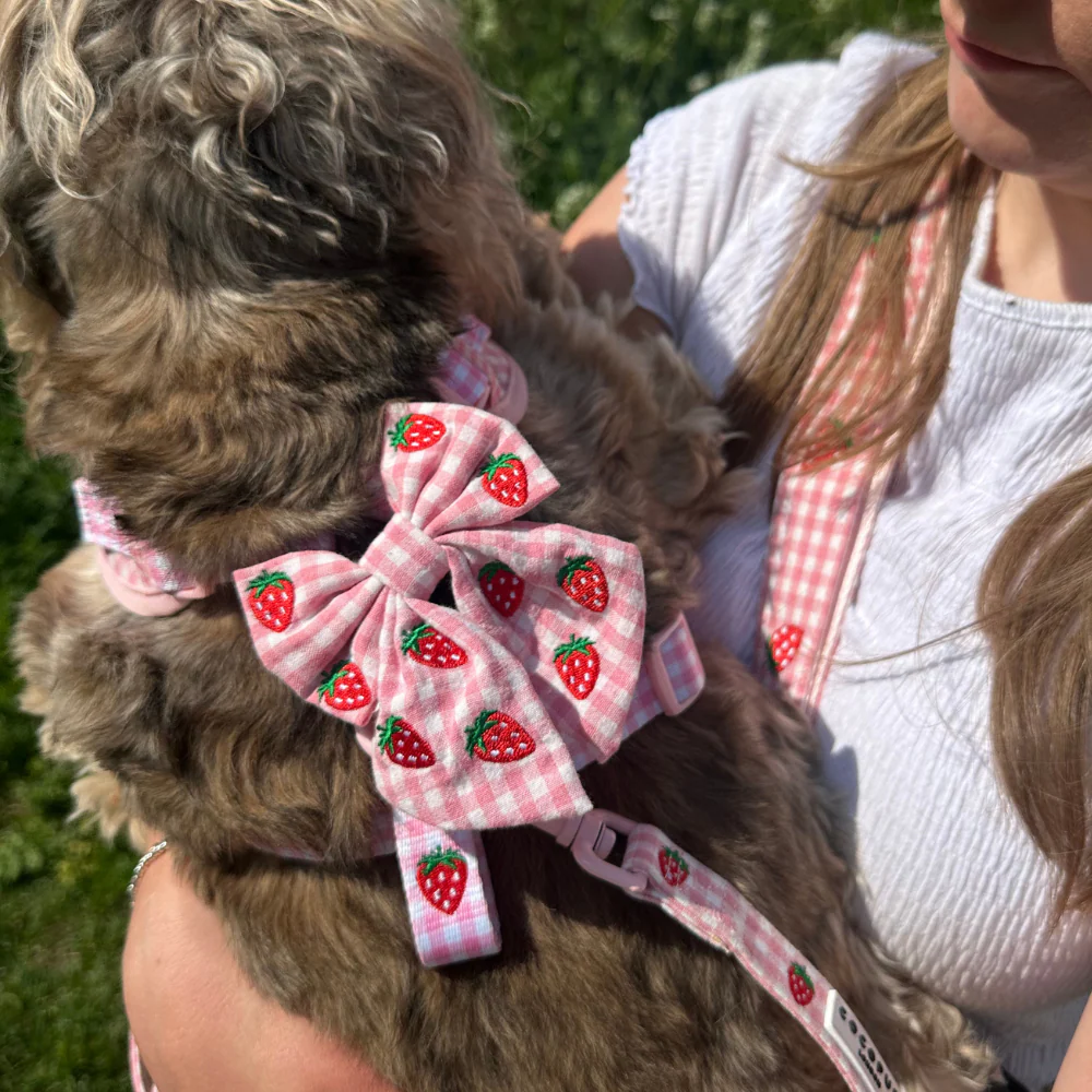 Strawberry Picnic Pup Sailor Bow Tie - Image 3