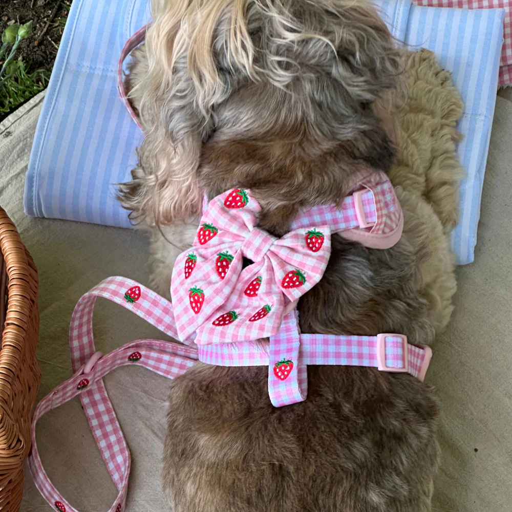 Strawberry Picnic Pup Sailor Bow Tie - Image 4