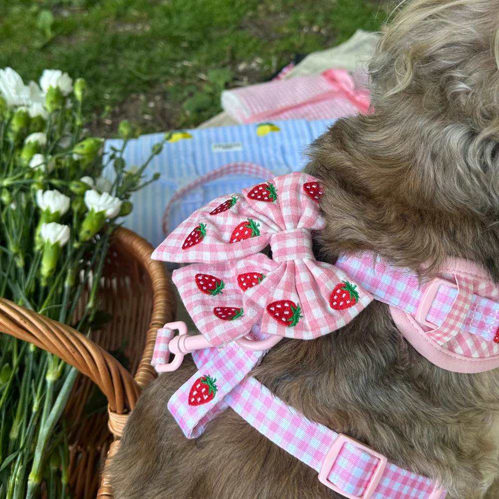 Strawberry Picnic Pup Sailor Bow Tie - Image 5