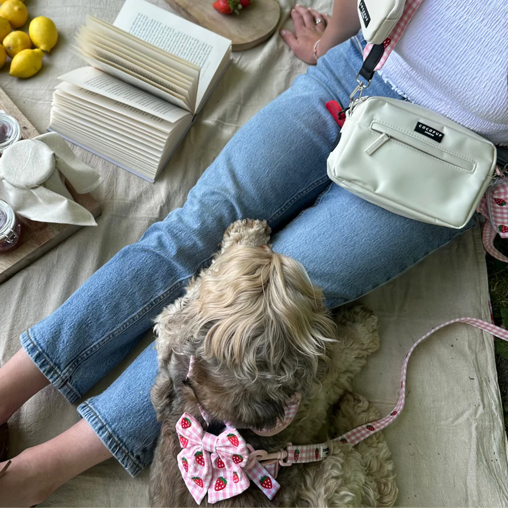 Strawberry Picnic Pup Sailor Bow Tie - Image 6