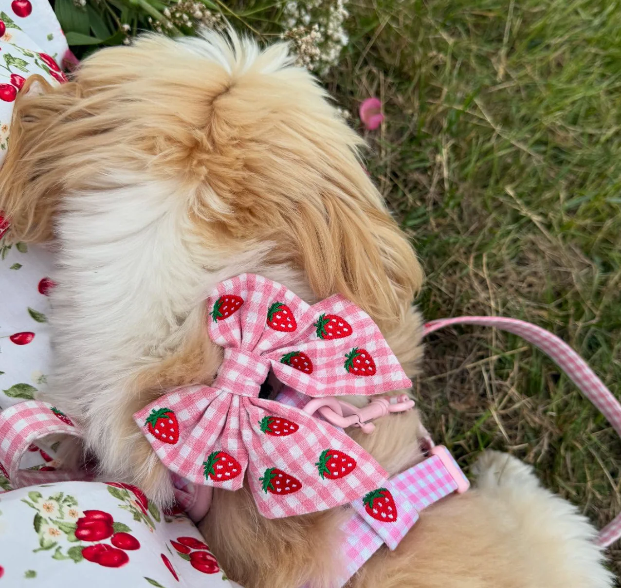 Strawberry Picnic Pup Sailor Bow Tie - Image 7