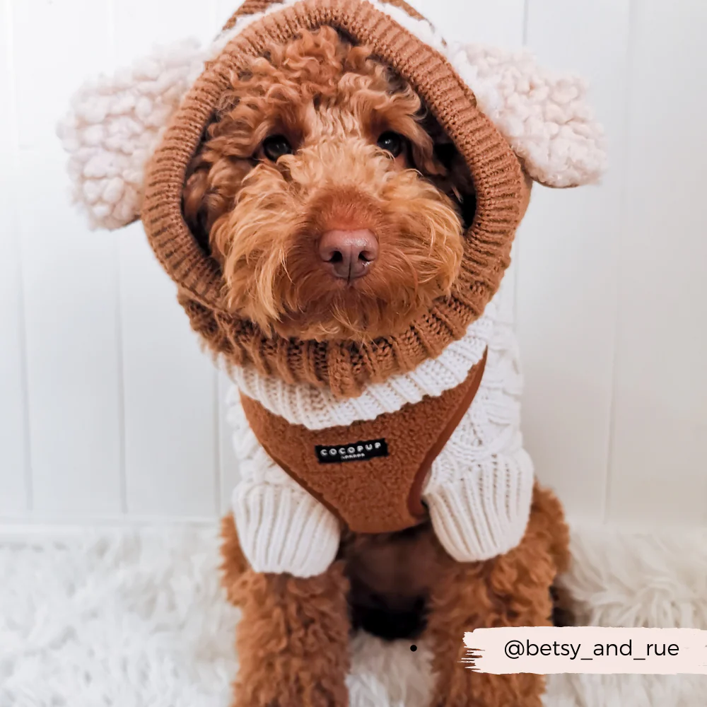 Teddy Adjustable Neck HARNESS - Paddington - Image 14