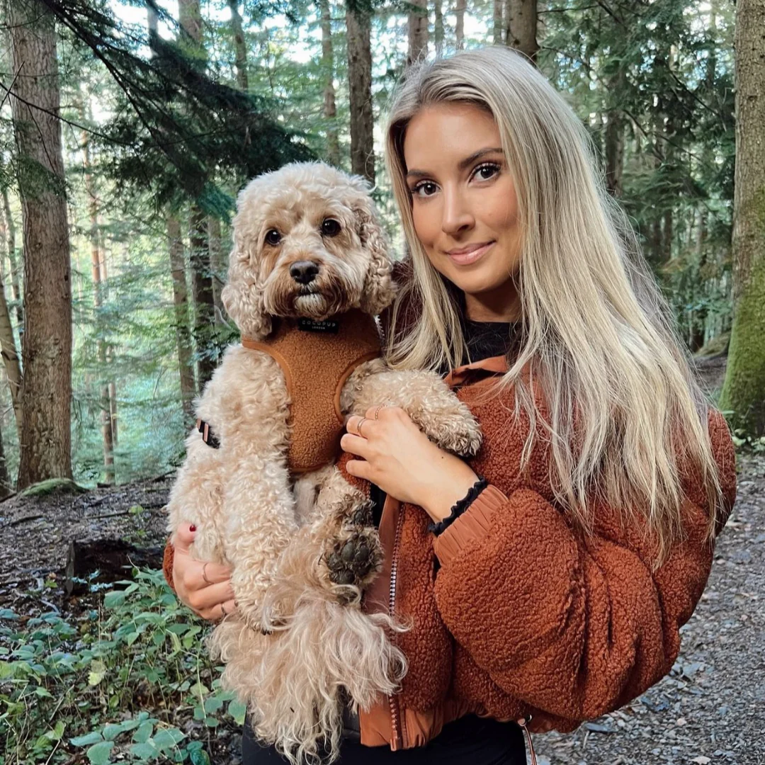 Teddy Adjustable Neck HARNESS - Paddington - Image 35