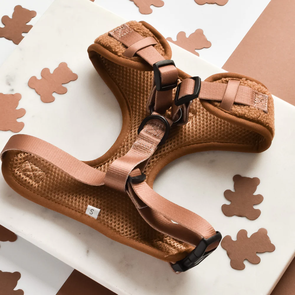 Teddy Adjustable Neck HARNESS - Paddington - Image 4