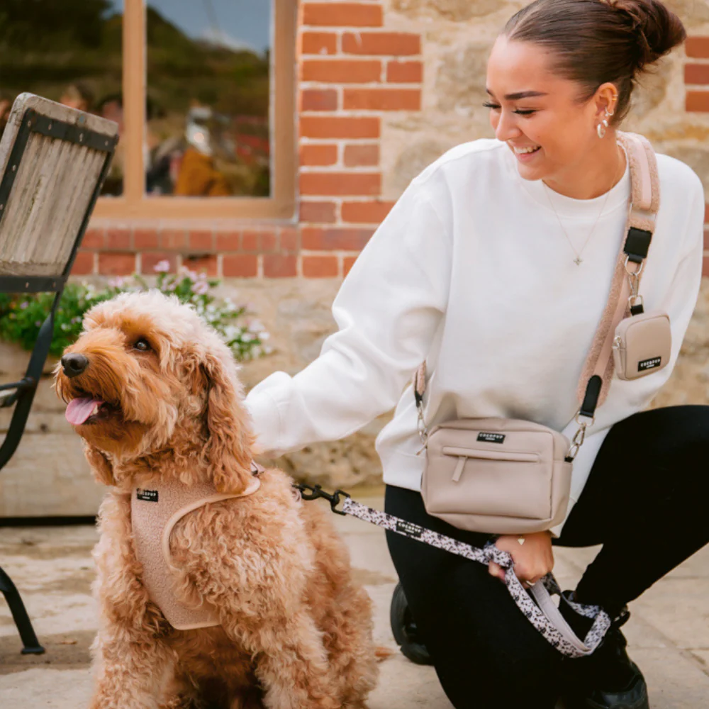 Teddy Adjustable Neck HARNESS - Rupert - Image 10