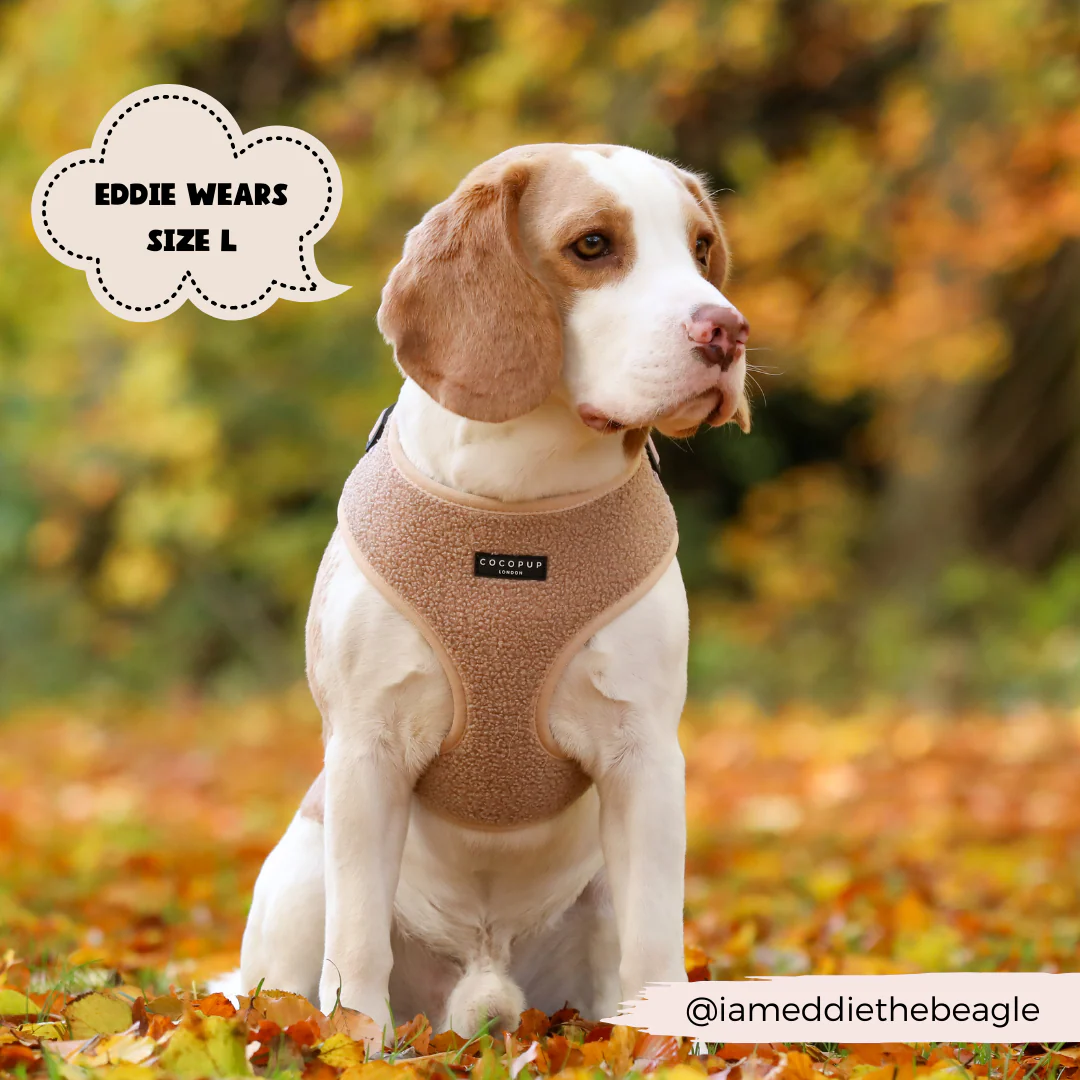 Teddy Adjustable Neck HARNESS - Rupert - Image 12