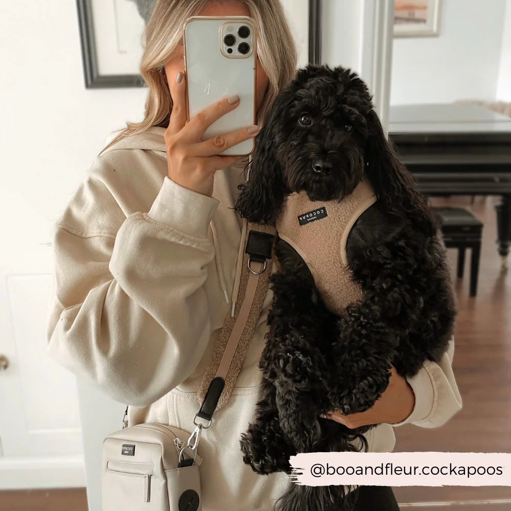 Teddy Adjustable Neck HARNESS - Rupert - Image 21