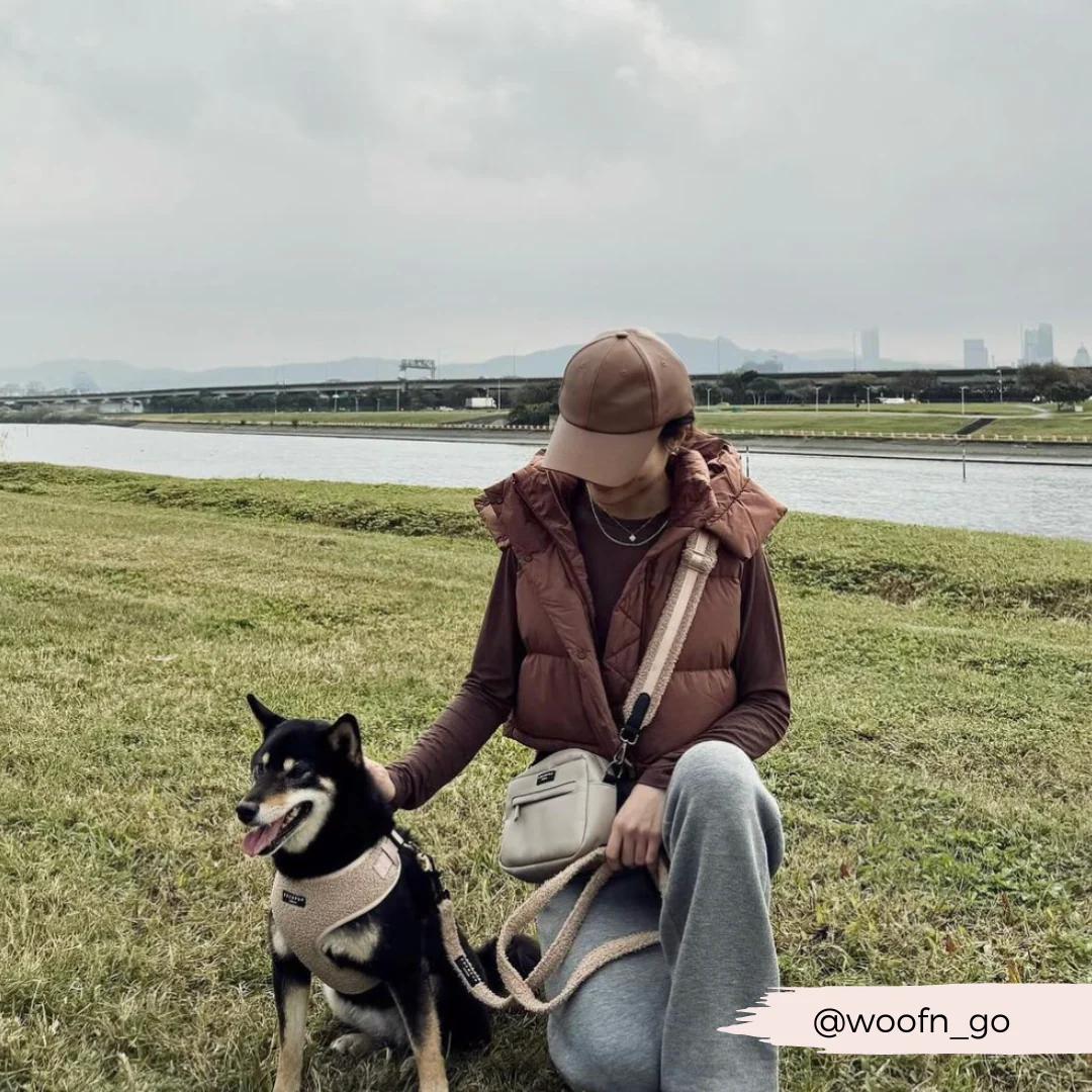 Teddy Adjustable Neck HARNESS - Rupert - Image 38